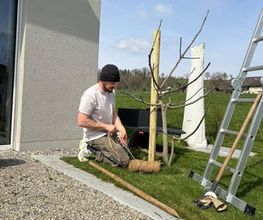 Gartencoach Dario Peyer Bild 3
