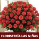 floristeria-las-ninas-logo.png