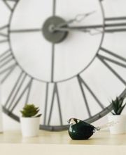 Funema Alzira imagen 9