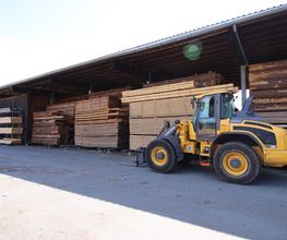 Habelitz Holz Bild 14