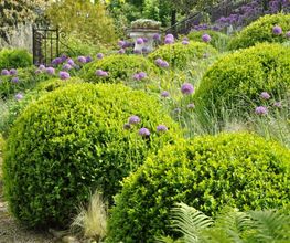 AB JARDIN SARL Bild 2