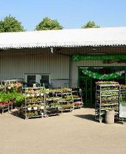 Raiffeisen-Markt Windeck-Leuscheid Bild 1