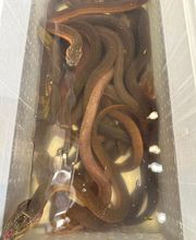 Park Hill Supermarket image 16