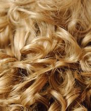 Peluquería Nova Imatge imagen 15