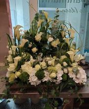 Blumen Dahlmann Bild 17