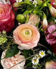 Blumenhaus Bucher Gartenbau GmbH Bild 2