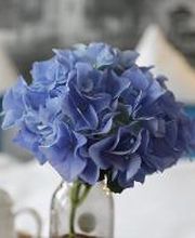 Villa Sachsenhof Bild 8