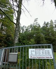 Tierpension Haas Bild 15