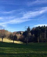 Ferme-Restaurant Pierreberg Bild 13