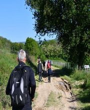 Espace VTT n1 image 3