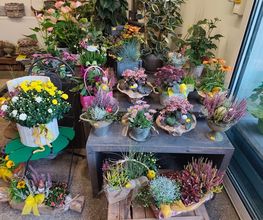 Blumenscheune Bild 8