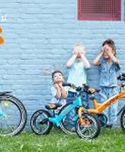 Ari Bike | Fietsenwinkel in Gouda afbeelding 4