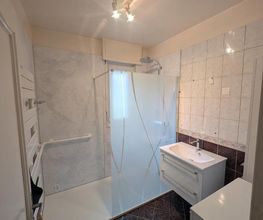 Ent Chapuis image 13