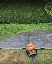 BC Service Élagage image 10