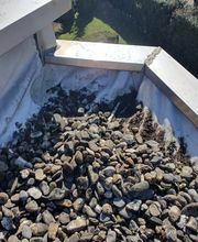 Flüssigkunststoffdach Bild 14