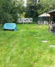 Bantak Gartenpflege und Gebäudereinigung Bild 7