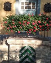 Altbausanierung Tuncay Bild 8