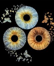 Studio Lichtwert Bild 15