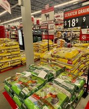 Product Shot: Chicken/Animal Feed