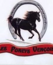 Les Poneys Vençois image 2