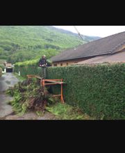 Debarre Elagage image 5