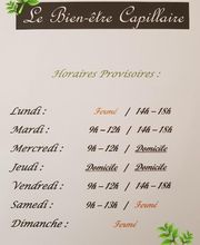 Le Bien Etre Capillaire image 7