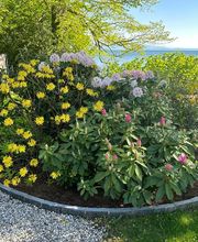 Armando Pinto Sàrl Bild 5