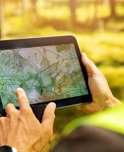 Colbert Properties imagen 16