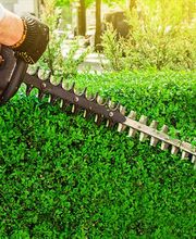 Bm Gartenservice Bild 4