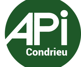 APImmobilier Condrieu image 4