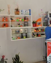 Gallery Cliente