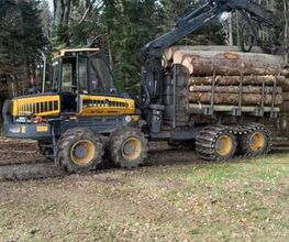 Holz Nigl Bild 4