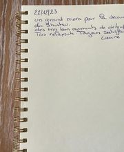 Mazellier Valérie image 4