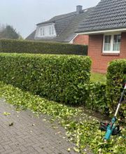 Grünblick | Garten- und Objektpflege Bild 2