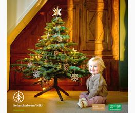 bettertree | Your alternative Christmas tree Bild 1