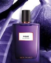 Formosa Esthétique image 5