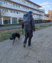 Hundeschule München-Nord