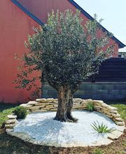 Heraud Teddy Paysages image 4