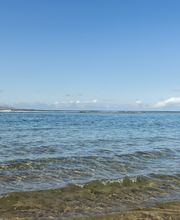 Occidental Las Canteras imagen 9