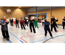 Long Teng Tai Chi afbeelding 2