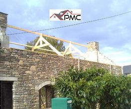 PMC image 1
