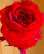 erotischegeschichten Bild 2