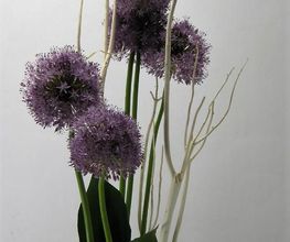Fleurs et Fleurs image 5