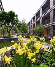 Zollinger Immobilien Bild 2