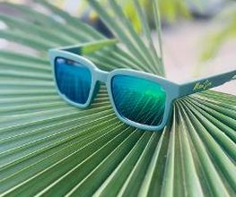 Optik Rausch Bild 18