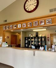 Taylor Animal Hospital Of Smithville image 4