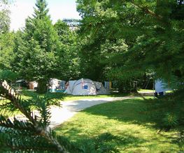 Camping de la Forêt image 11