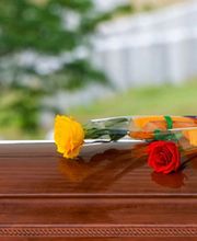 ETS AVANZINI image 1