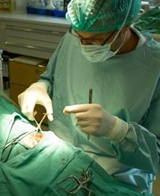 Tierklinik Obergrund AG Bild 9