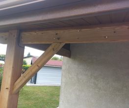 Termites Master image 7
